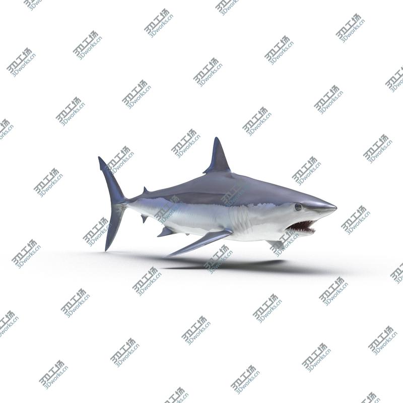 images/goods_img/20210313/Sharks Collection 10/2.jpg